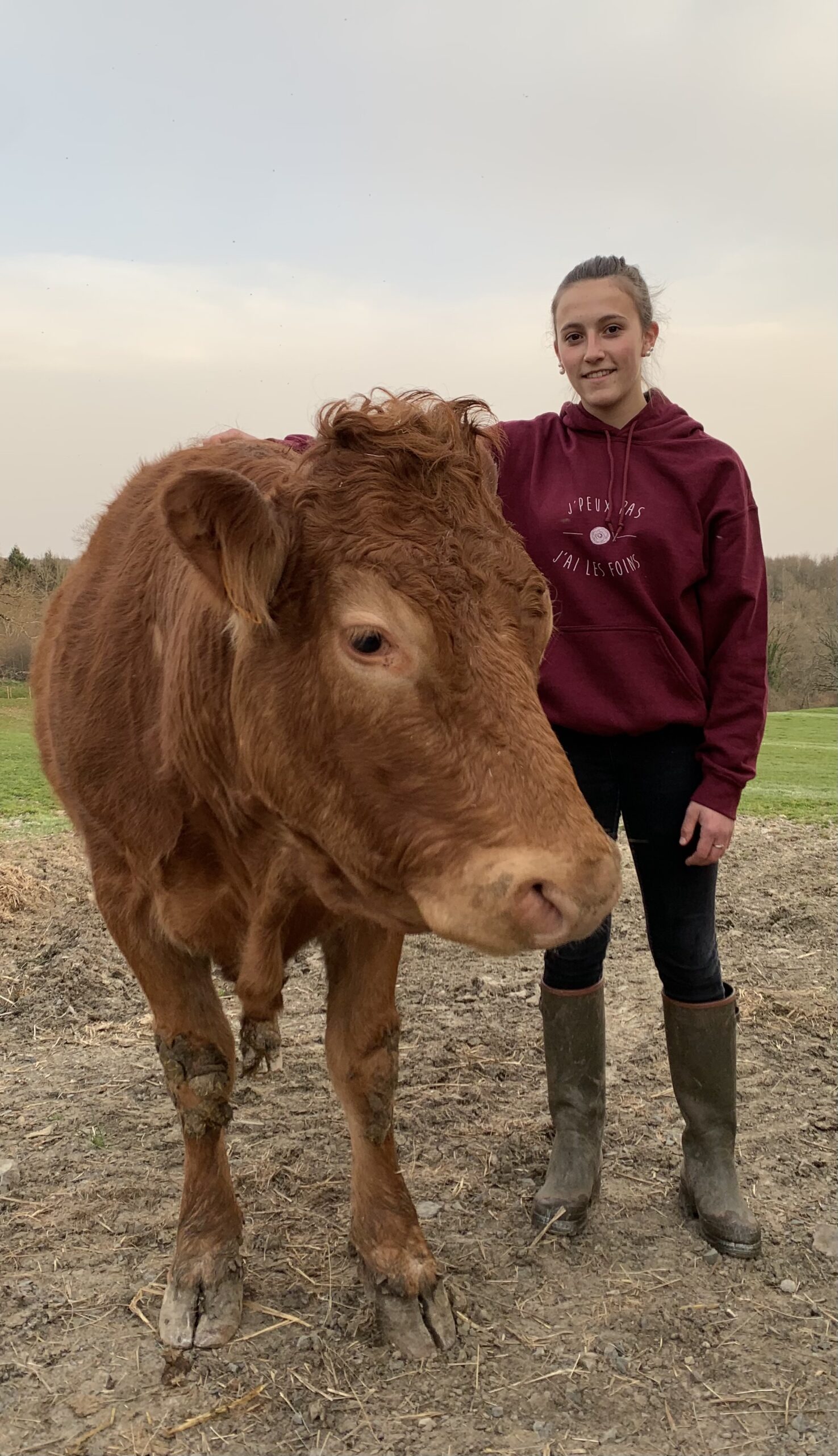 Sweat à Capuche Humour Agriculteur "J'peux Pas J'ai Traite" - Cadeau Drôle Pour Fermier, éleveur, Passionné De Vaches