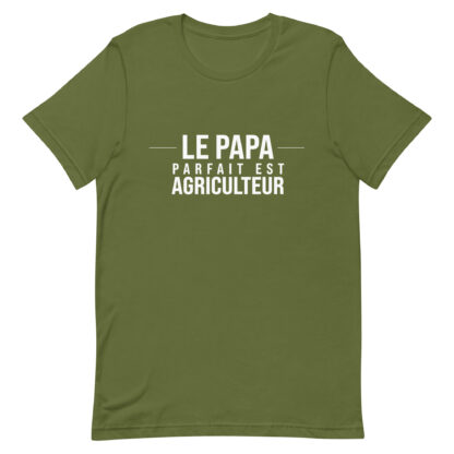 le-papa-parfait-est-agriculteur-vetement-agricole-t-shirt-fête-des-pères-vert-clair